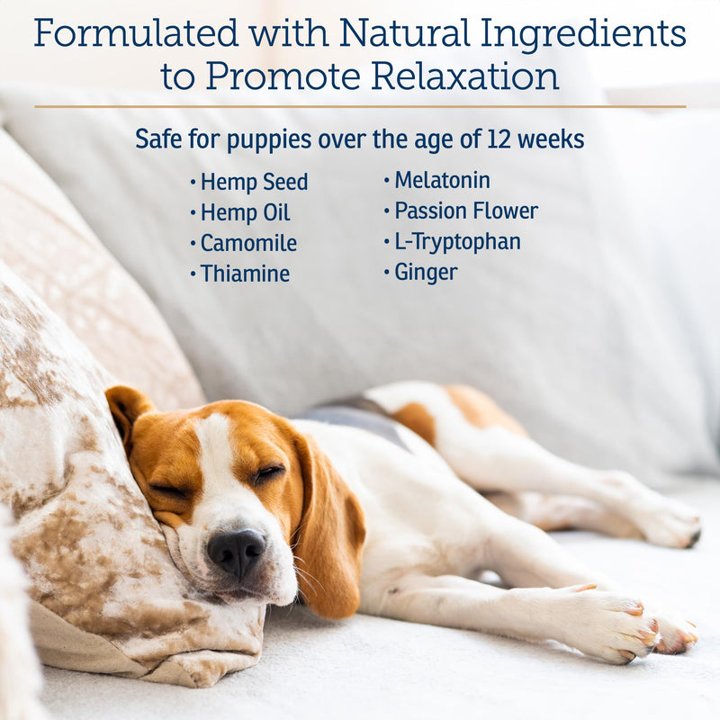 Rx Vitamins NutriCalm - Calming Care for Dogs with Valerian Root, Tryptophan, & Ashwagandha - Aids in Separation Anxiety Relief for Dogs and Stress Relief - Road Trip Essentials & Relaxant - 50ct New Label