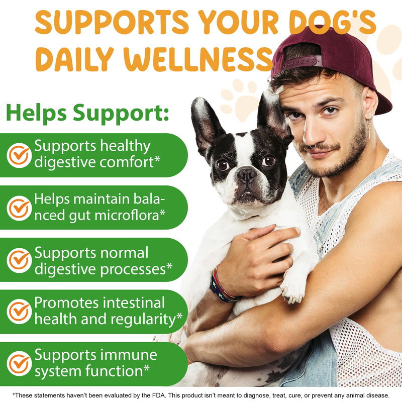 Dog Worming Gut Health Supplement Drops with Probiotics - 60ml, 100% Natural Support for Digestive & Immune Health, Aids Nutrient Absorption & Intestinal Parasite Prevention (via Gut Care)