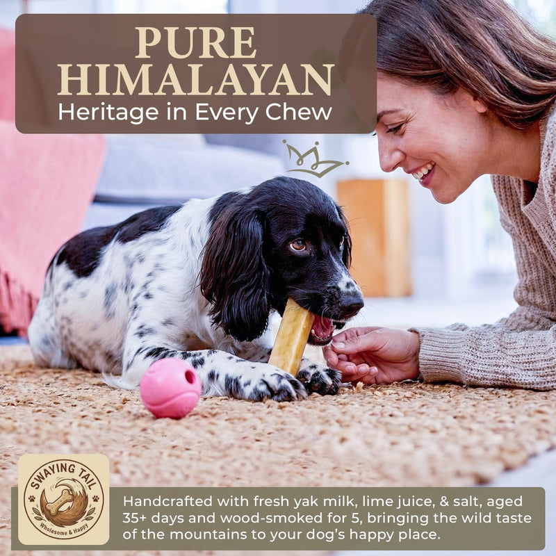 Himalayan Yak Cheese Dog Chew (Large, 3 Count) – 100% Natural, Long-Lasting Hard Treats for Super Chewers – Grain-Free, Lactose-Free, Odor-Free Incredibly Durable Churi Sticks for Dogs 1 Pound (Pack of 1)