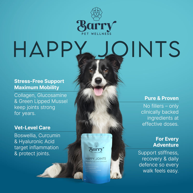 Happy Joints | Premium Hip and Joint Supplements for Dogs | Aids Stiff Joints |Collagen for Dogs | Supports Mobility | Relieves Pain In Hip & Joint