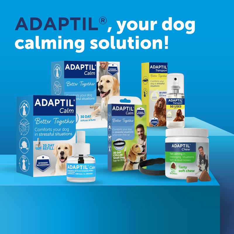 30 Day Refill For Adaptil Calm Home Diffuser For Dogs | 1 Refill For Adaptil Dog Calming Plug In Pheromone Diffuser To Help Reduce Anxiety And Stress In Pet Dogs | Diffuser Helps Dogs Stay Calmer 30 day refill pack