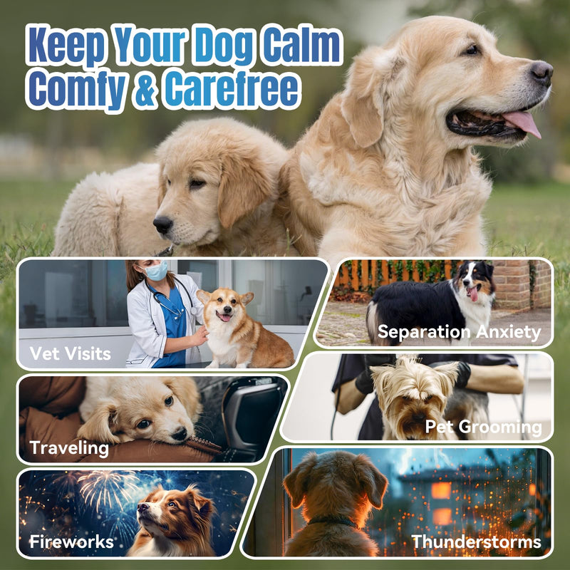 Calming Chews for Dogs Puppy Dog Calming Chews, Help Manage Stress and Promote Relaxation Sleep Aid Calm Dog from Noise, Thunder, Barking, Separation, Small Medium Large & All Breeds Chicken 200 Count