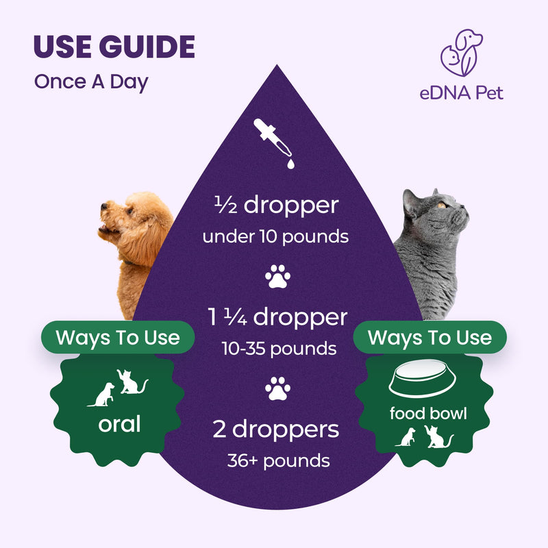 Herbal Supplements for Dogs & Cats | Dog & Cat Health Supplies Drops | Herbal Remedy with Cranberry, Respiratory & Cold Drop | 2 Fl.Oz