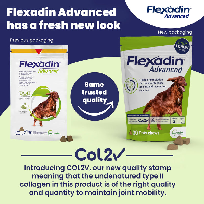 Flexadin Advanced Joint Care Supplement for Dogs containing Undenatured Type II Collagen, Boswellia serrata, Omega 3 & Vitamin E/Promotes joint health, mobility & flexibility | 60 chews