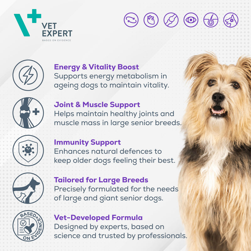 Vet Expert Geriativet Large Breed Senior Dog Supplement – Enhances Energy Metabolism, Joint Health, and Immune Function 45 capsules