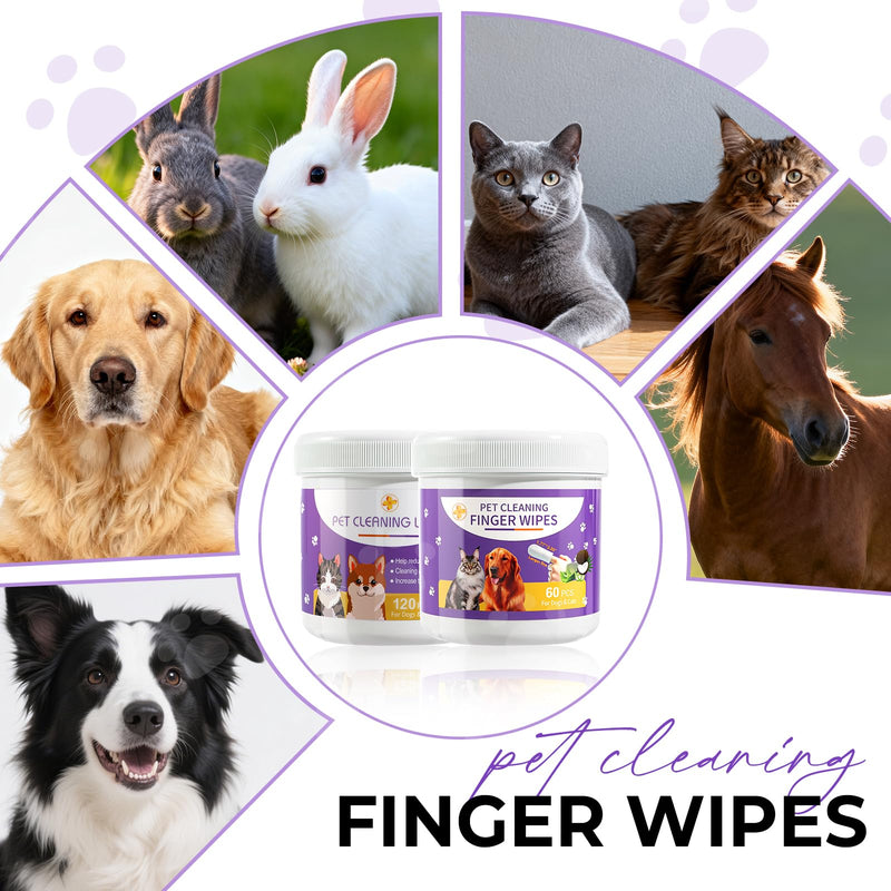 MeCids Dogs Dental Cleaning Finger Wipes 60PCS Pet Teeth Cleaning Tool Teddy Pet Small Dog Cat Cleaning Supplies Unscented