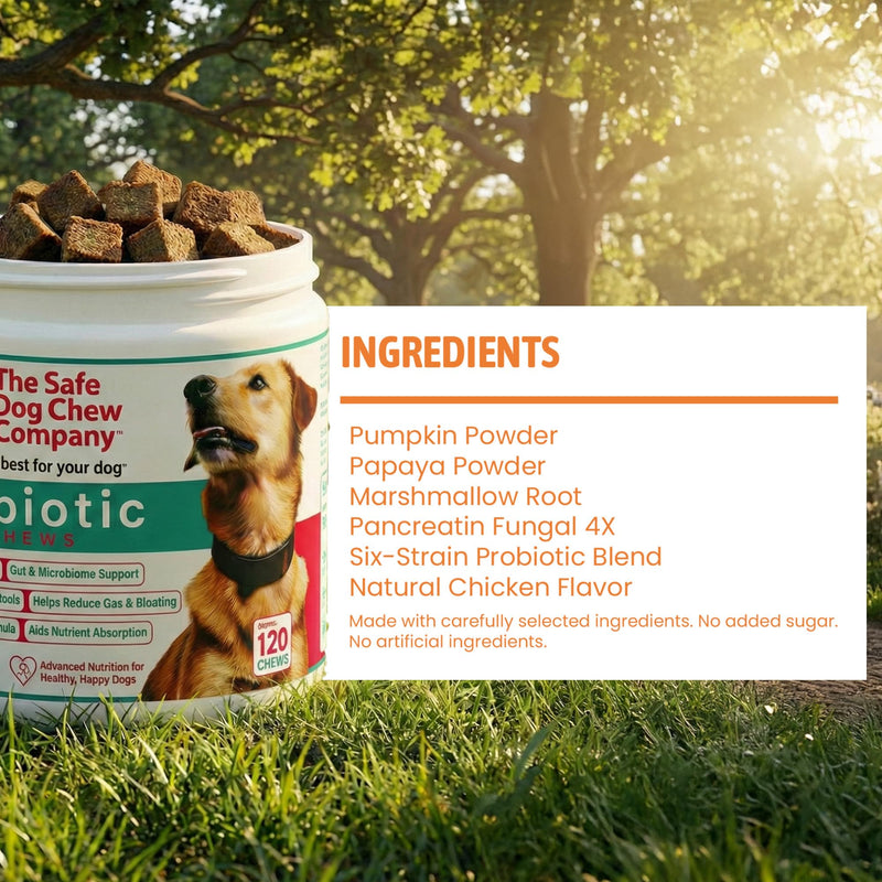 Probiotic Soft Chews for Dogs – Digestive Support with 6 Probiotic Strains, Pumpkin & Digestive Enzymes – Supports Gut Health, Regular Stools & Less Gas – Chicken Flavor – 120 Chews – Made in USA