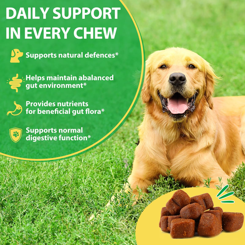 120 Chews Dog Probiotics for Gut Health – Prebiotics for Dogs with Digestive Enzymes, Pumpkin & 6 Probiotic Strains | Dog Probiotic Supplements for Digestive, Immune, Skin & Coat Support | Duck Flavor