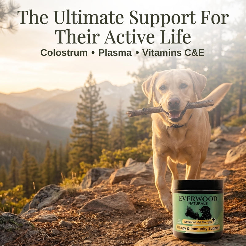 Premium Allergy & Immunity Support Soft Chews for Dogs – Colostrum, Plasma Proteins, Yeast & Vitamins C & E – Dog Immunity & Allergy Supplement – 60 Soft Chews