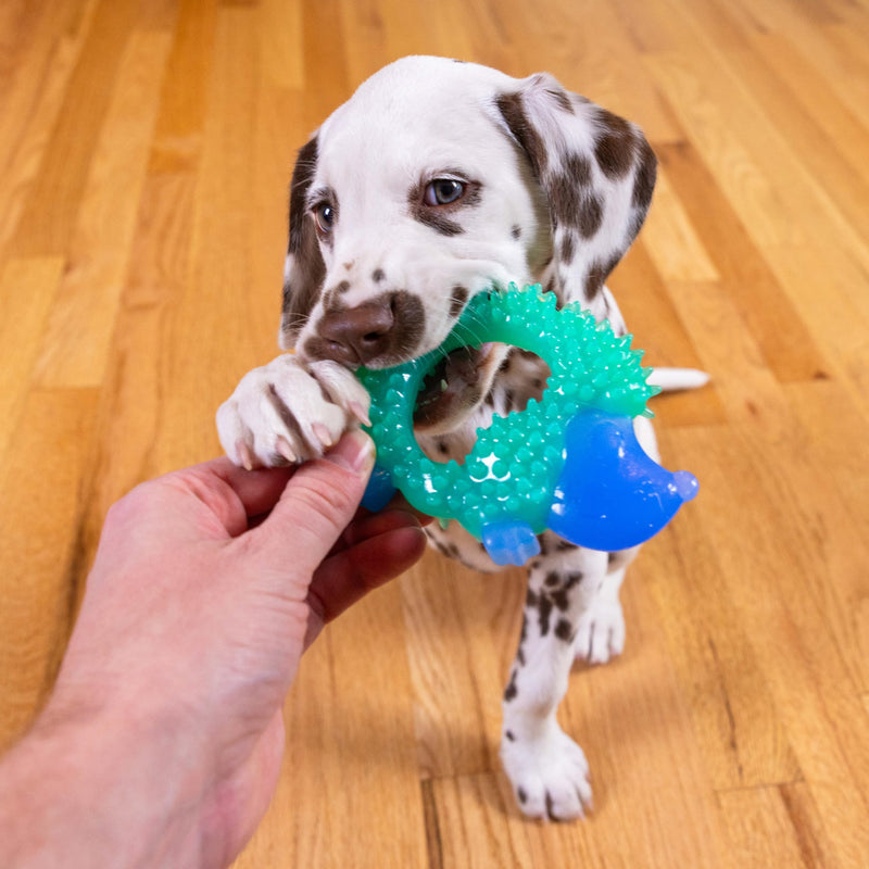 Petstages Cutie Chewies Hedgehog Dog Chew Toy Small Breeds & Puppy - BeesActive Australia