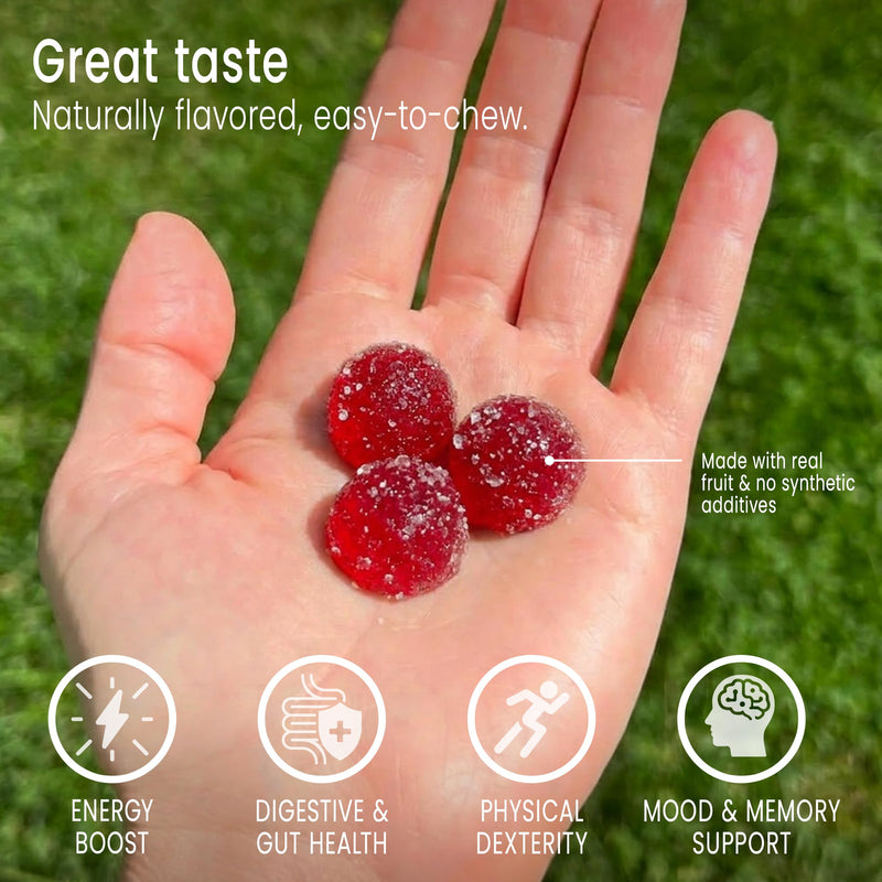 Sunsoil Energy Boost Organic Gummies, USDA Certified Organic, No Glucose Syrup, Vegan, Gluten-Free, Plant-Based