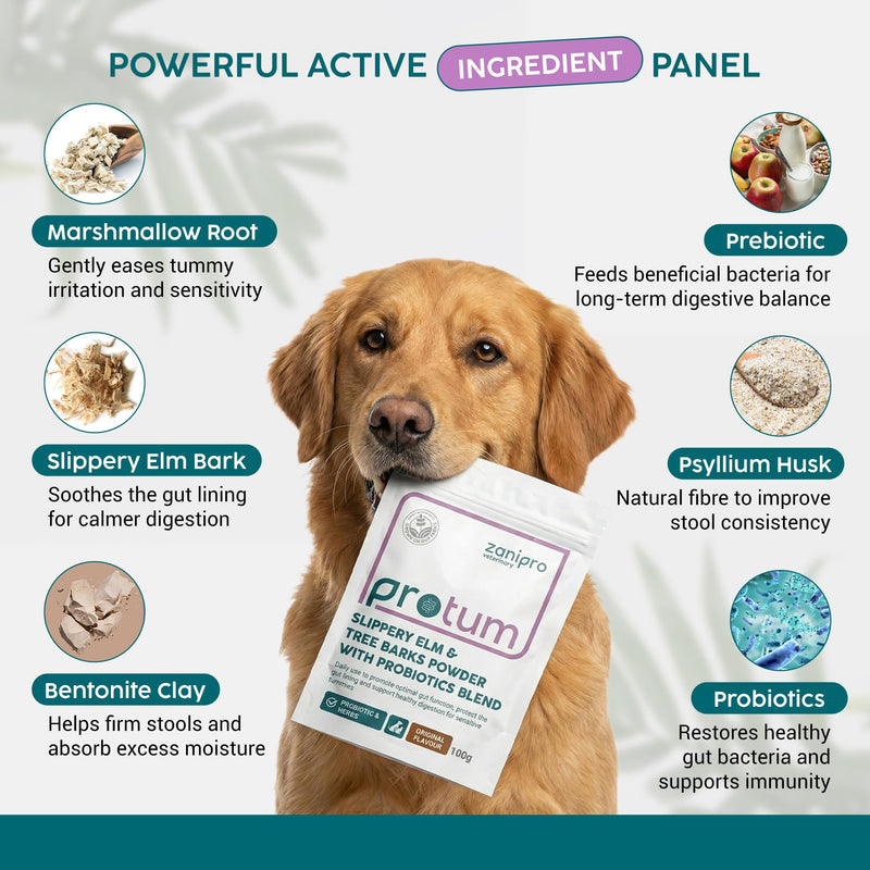 Slippery Elm for Dogs & Tree Barks - 100g Powder with Probiotics for Dogs and Cats, Marshmallow Root for Gut Health, Digestion, Dog Acid Reflux Treatment, Bloat Relief & Upset Tummy & Diarrhea