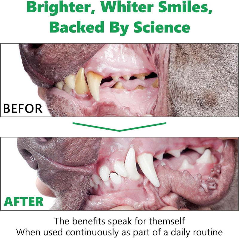Dental Powder 300g, Teeth Cleaning Powder, Dog Teeth Cleaning Products, Plaque Off for Dogs & Cats Breath Freshener for Bad Breath, Tartar Remover,Dental Care Supplies for Small, Medium, Pet Denta