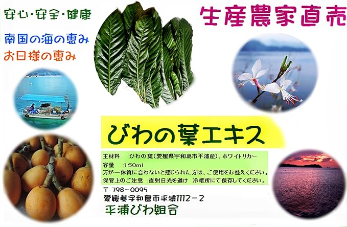 8 Months Extract, 2 times Thicker: For Skin, Gargle, Hair, and Insect Bites, 5.6 fl oz (160 ml); 3 times as much as Loquat Leaves: Loquat Leaf Extract, No Pesticides or Exhaust Gas, T-Cap, Spray -  Australia