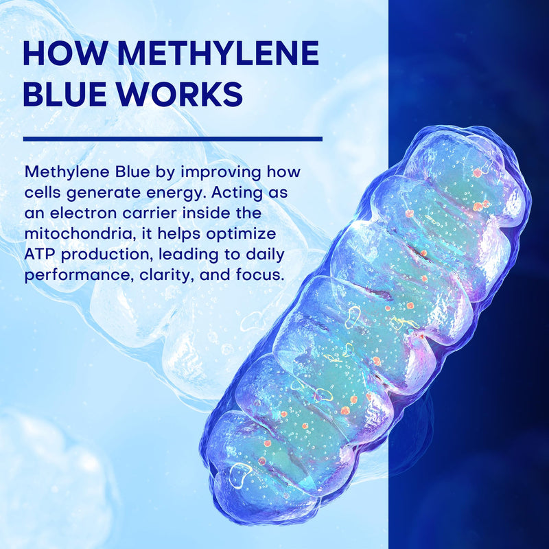 Methylene Blue Capsules, 30mg Pharma Grade, 60 Vegan Capsules | 30mg Pharmaceutical Grade Methylene Blue with Vitamin C & Organic Cacao for Daily Wellness, Cellular & Cognitive Support
