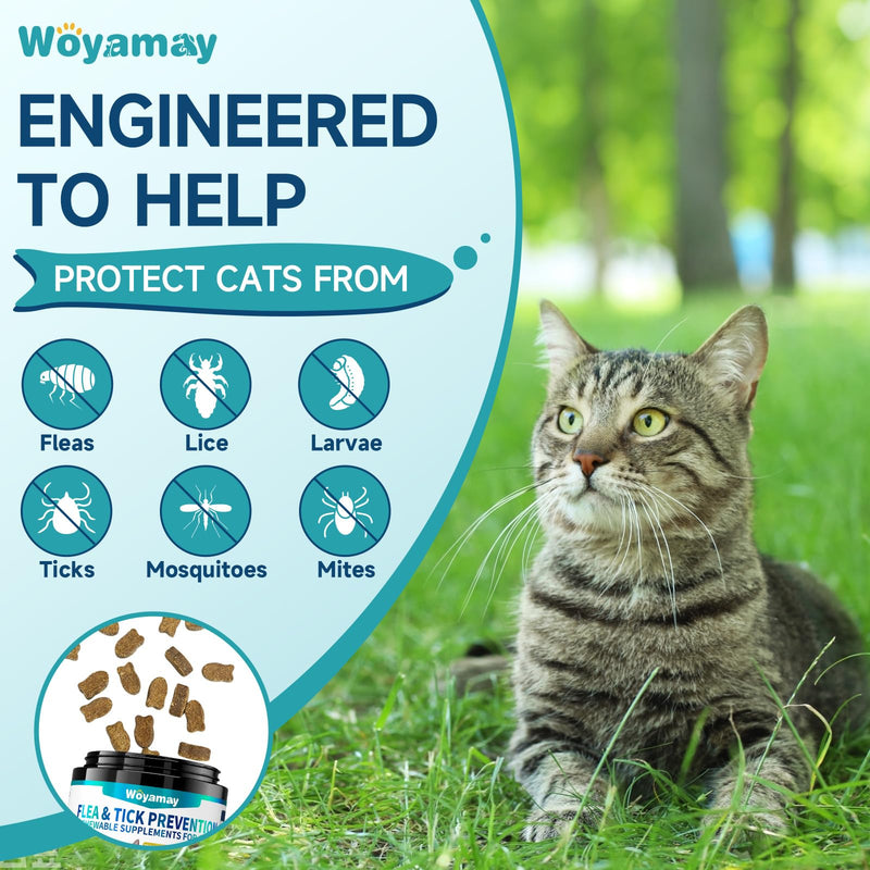 Flea Treatment for Cats, 200 Treats Flea and Tick Prevention for Cats Chewables, Natural Cat Flea and Tick Treatment Pills Daily Oral Flea Supplement, Kitten Cat Flea Treatment, Chicken Flavor - BeesActive Australia