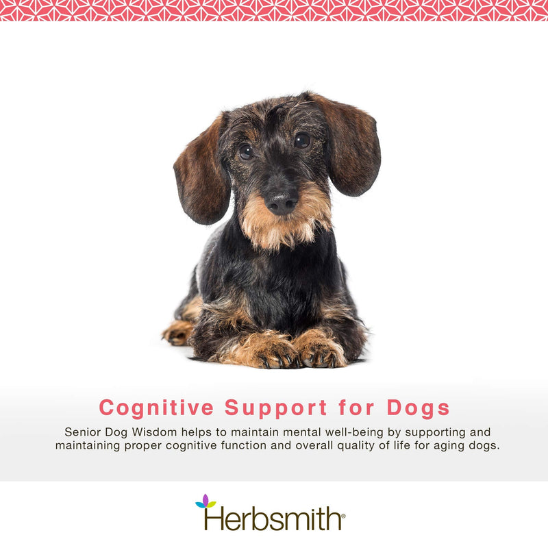 Herbsmith Senior Dog Wisdom – Dog Dementia Supplement – DHA for Senior Dog Brain Health - Senior Supplement for Dogs- 75g Powder