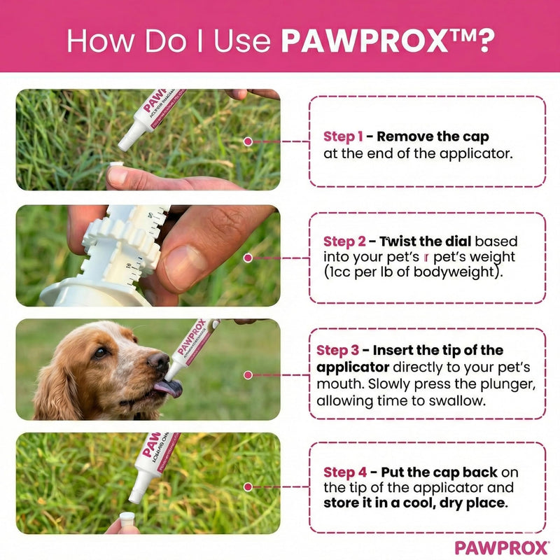 PawProx Activated Charcoal Gel for Dogs for Poisoning, 30 cc Dog First Aid Activated Charcoal, Animal Use Only Dogs and Cats Poisoning First Aid