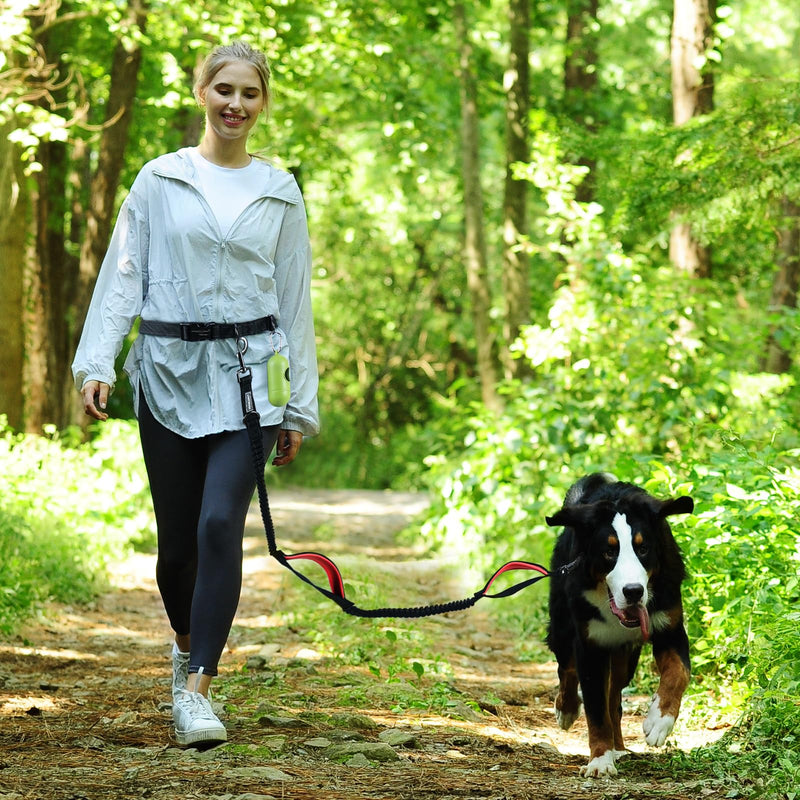 VIVAGLORY Hands Free Dog Leash Bungeetwin Running Dog Leash with Waist Belt for Running Walking & Jogging, Bungee & Around Waist for Pet, S, Black/Red Fits waist 25½"~44", Dual Bungee - BeesActive Australia