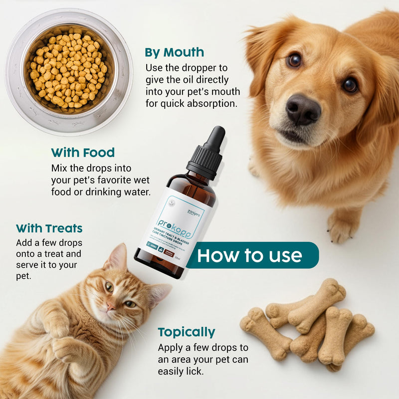 Urinary Tract Infection Treatment for Dogs & Cats - Dog UTI Treatment at Home for Kidney and Bladder Support, Herbal Supplement Drops for Prevention of Incontinence & Bladder Stones | 50ml