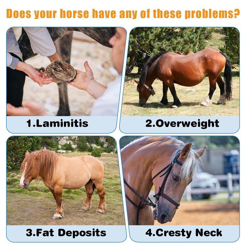 Insulin Resistance Supplement for Horses,Supporting Horses with Elevated Insulin Levels,Laminitis,Cushing's Syndrome,Chronic Sore Feet,Back to Pasture,0.44 lbs - BeesActive Australia