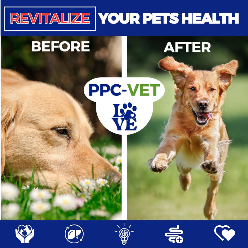 PPC-Vet Polyunsaturated Phosphatidylcholine Liver and Brain Health Supplement for All Sized Cats and Dogs 1000mg PPC / 5mL - Liposomal Liquid 8 oz - PawsPlanet Australia