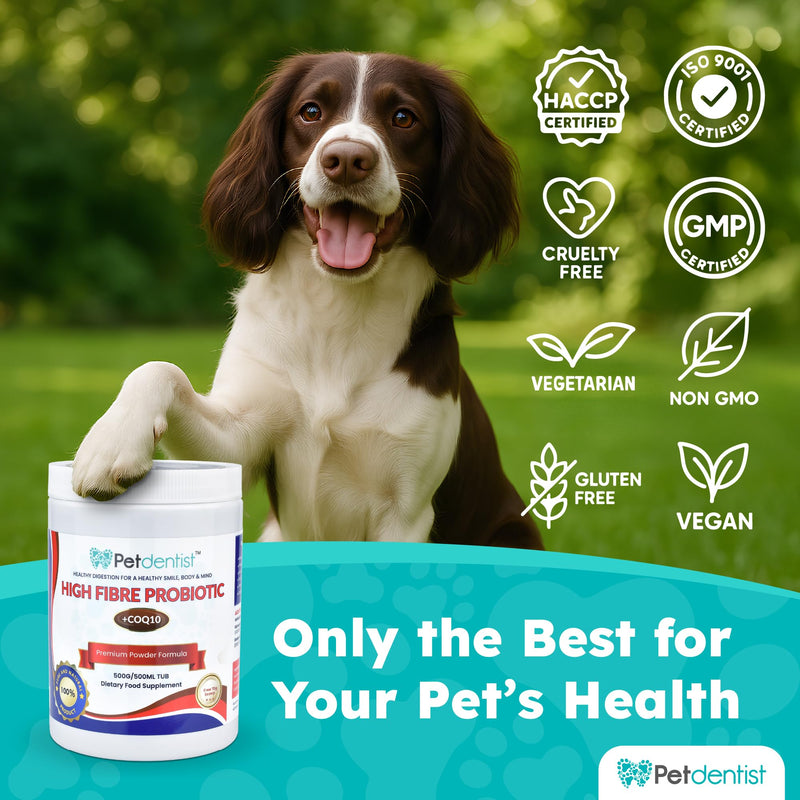 High Fibre Probiotics for Dogs and Cats - Premium Fiber Powder Supplement for Dogs, Anal Glands, Gut Health, CoQ10, Vitamin C for Digestion, Oral Care, Heart Support - 500 Grams