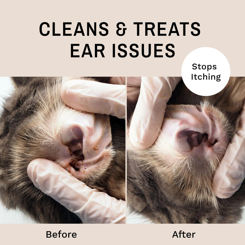 Eye Envy Fresh Ear Cleaning Wipes for Cats. Made in The USA from Natural Ingredients. Unscented. Safe and Non-Irritating. Removes Dirt, Debris, and Wax buildup. 60 Count.