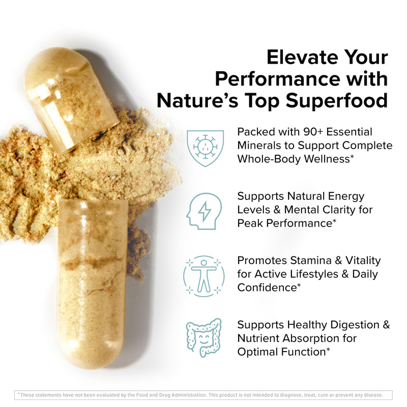 InnoSupps Wild Sea Moss Capsules - Immune Support Supplement for Vitality and Gut Health - Daily Vitamins for Men and Women (30 Servings)