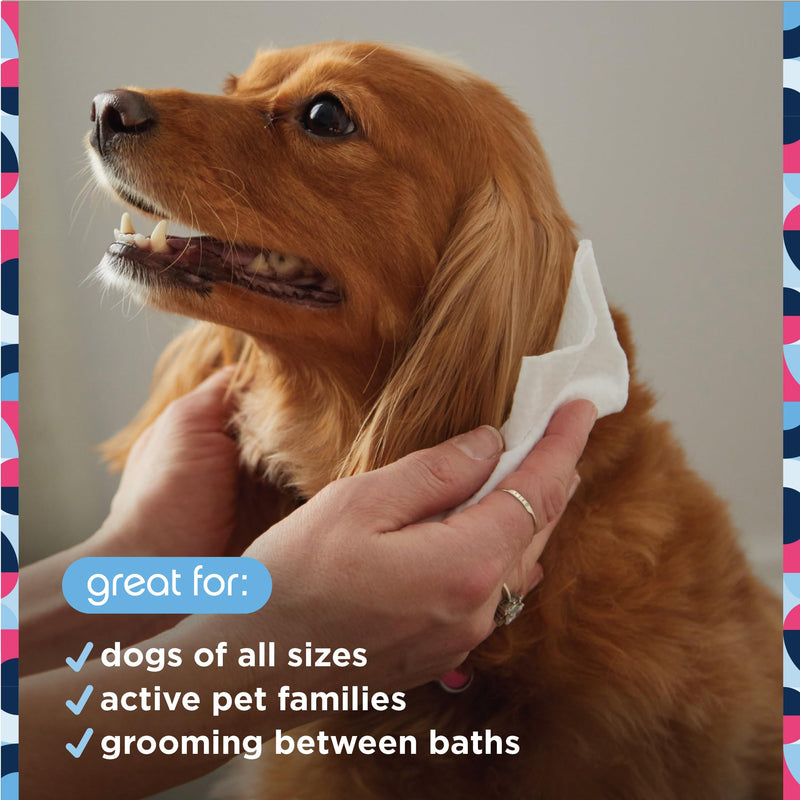 Pet Life Unlimited Pet Wipes for Dogs, Dog Cleaning Wipes - Plant-Based Dog Wipes with Moisturizing Aloe Leaf & Calendula - Made in The USA - Fragrance Free Dog Grooming Wipes - 72ct (Pack of 1) 72 Count (Pack of 1) - PawsPlanet Australia