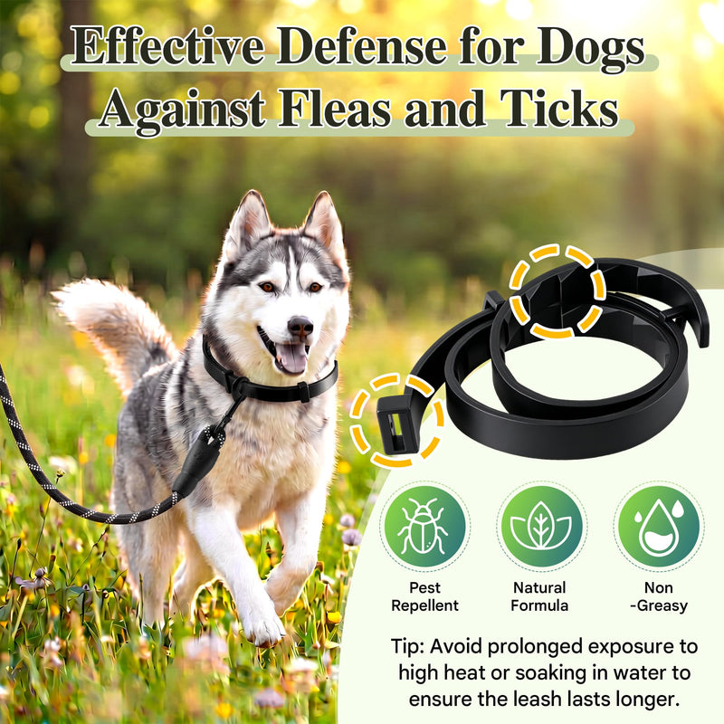 Flea and Tick Collar for Dogs with 5 FT Leash, Essential Oils Collars, Rope Dog Leash with Padded Handle, Adjustable Size Dog Walking Set, Flea and Tick Prevention for Dogs, Puppies