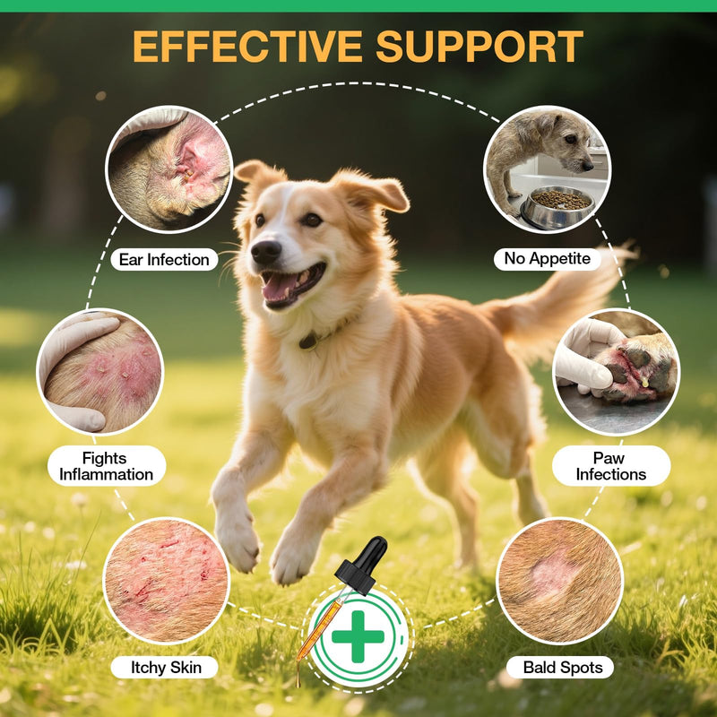 Yeast Infection Treatment for Dogs, Natural Dog Yeast Infection Treatment, Ear & Skin Itch Relief, Reduces Inflammation & Irritation, Herbal Dog Supplement Drops with Probiotics & Multivitamins, 2 FL 1 PACK