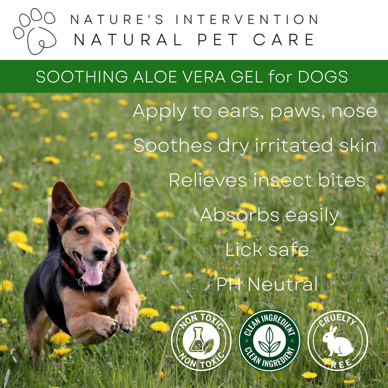 NATURE'S INTERVENTION Soothing Aloe Gel for Dogs – Nourishing Botanical Formula to Soothe Dry Skin – Aloin-Free Aloe Vera & Neem - 99% Natural Origin - 100g