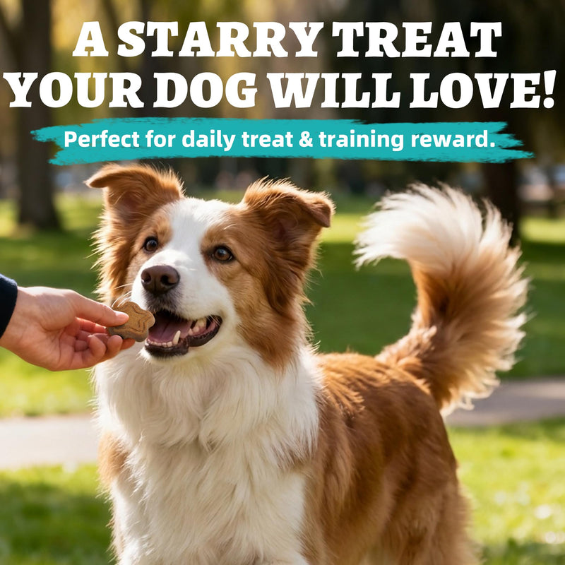 Just Try 15 OZ Green-Lipped Mussel Dog Treats Biscuits Hip & Joint Support for Dogs Training Treats Healthy Dog Treats