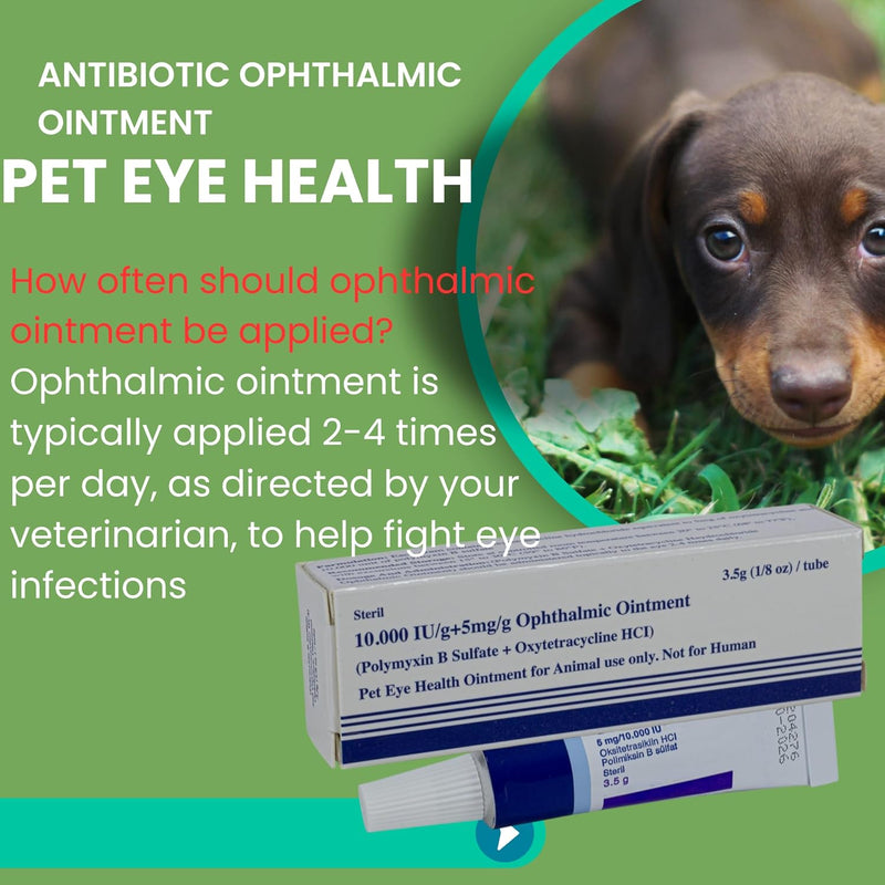 Pet Eye Health Ointment for Dogs, Cats, Cattle, Sheep, Horses, Birds and Puppies, Kittens 1/8 oz /3.5gr - 1 Tube - BeesActive Australia