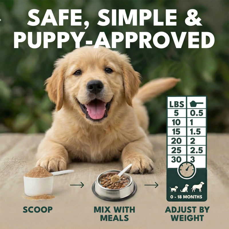 Puppy Probiotic Powder for Digestive Health & Diarrhea Relief, Gut Health Supplement with Prebiotics & Colostrum, Relieves Itchy Skin & Supports Immune System, Chicken Flavor, 14oz | NovaTails Co.