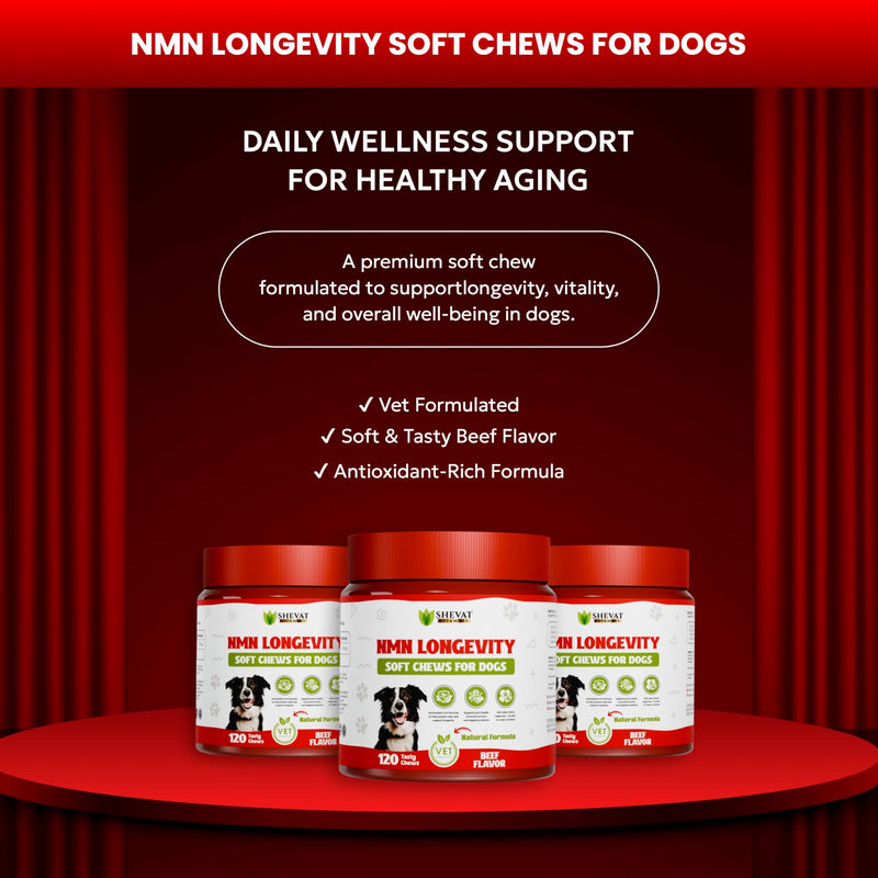NMN Longevity Soft Chews for Dogs – Beef Flavored – Antioxidant Support for Joint Health, Immune Function, and Cellular Protection – 120 Count