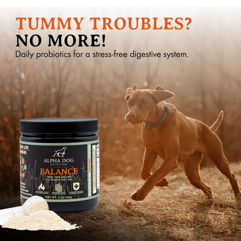 Balance Probiotic Blend for Dogs by Alpha Dog Nutrition - PawsPlanet Australia
