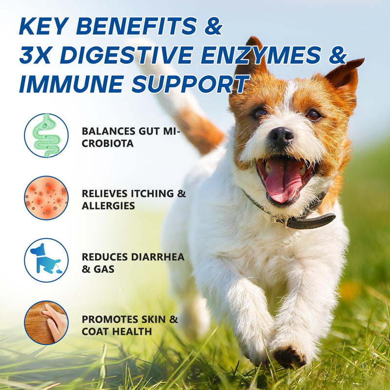 Probiotics for Dogs Dog Probiotic Chews for Yeast Gut Digestive & Immune Health, Itch Relief Ears Skin & Coat with 11Billion CFU Probiotics, 6 Enzymes& 4 Prebiotics, Pumpkin, Omegas & Vitamins,110ct 110 Count