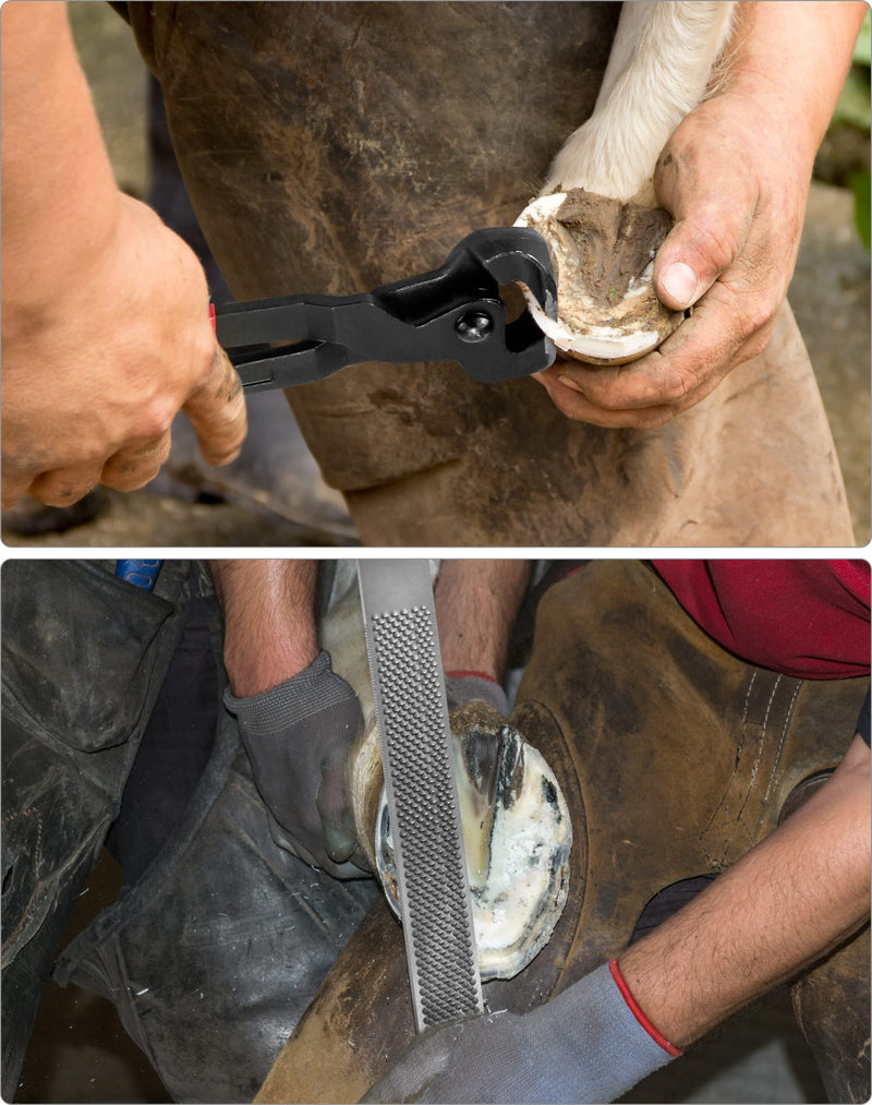 QWORK® 3-Piece Horse Farrier Professional Hoof Trimming Tool Kit, Hoof Knife Hoof Cutting Pliers Hoof Raspel 3 Pieces - BeesActive Australia
