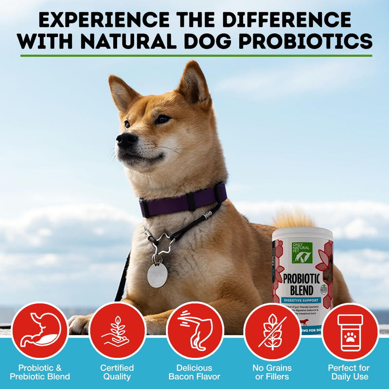 Only Natural Pet Probiotic Dog and Cat Supplement - Digestive & Gut Health Enzyme Formula, Puppy & Canine Digestive Chews, Best for Stomach Relief & Gas Aid - Soft Chews, 120 Count. - BeesActive Australia