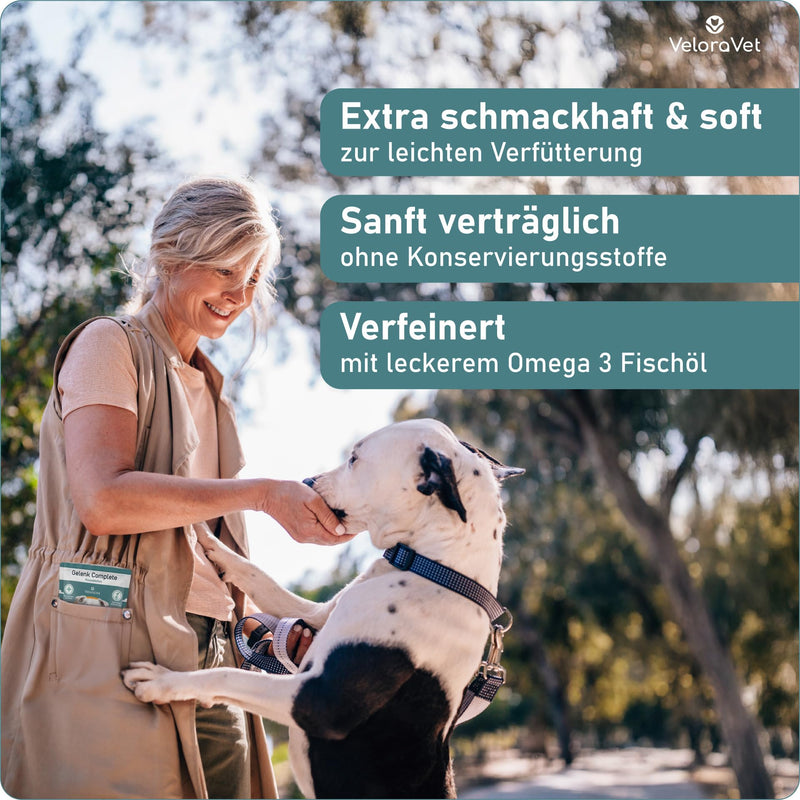 VeloraVet joint tablets dog - green-lipped mussel dog - HIGH DOSE & soft with MSM & glucosamine for mobile joints - higher acceptance than green-lipped mussel capsules, green-lipped mussel powder - 60 pieces - BeesActive Australia