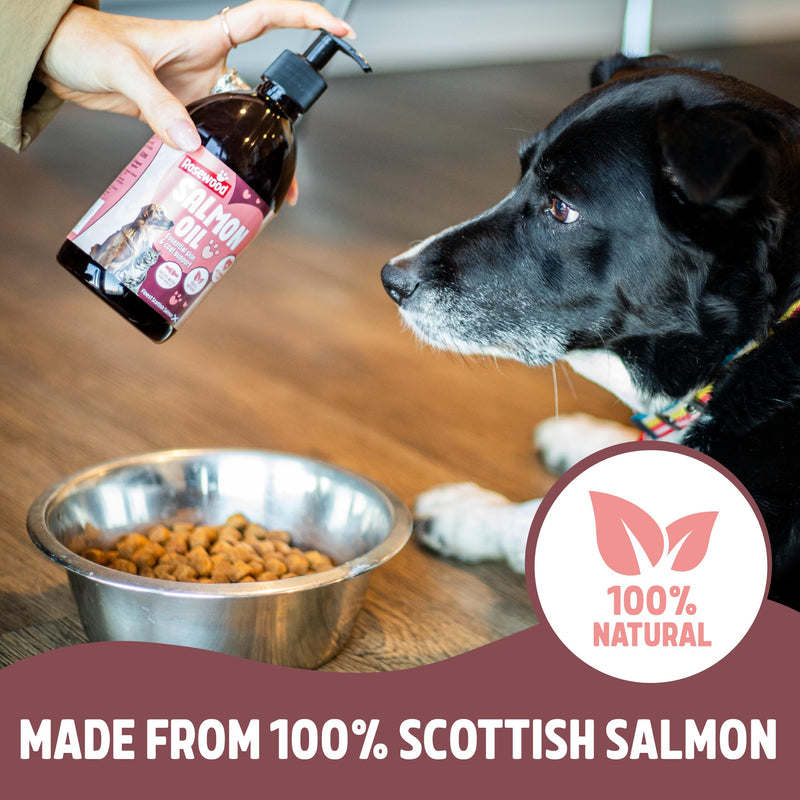 Rosewood Scottish Salmon Oil for Dogs and Cats – Natural, Rich in Omega 3, 6 & 9, Fish Oil Food Supplement for Joint Mobility, Immune Support, Itchy Skin and Healthy Coat (500ml) 500ml