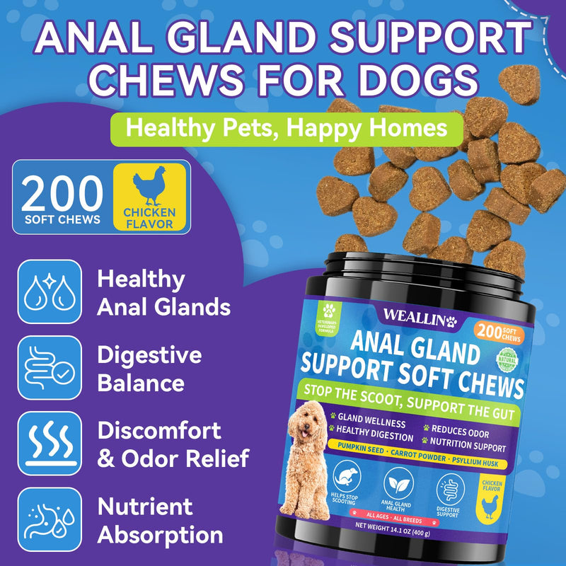 Anal Gland Chews for Dogs - No Scoot for Dogs with Pumpkin, Inulin & Probiotics for Dogs Digestive, Supports Anal Gland Healthy & Bowel Function Fiber Supplement for Dog Chicken Flavor 200 Soft Chews