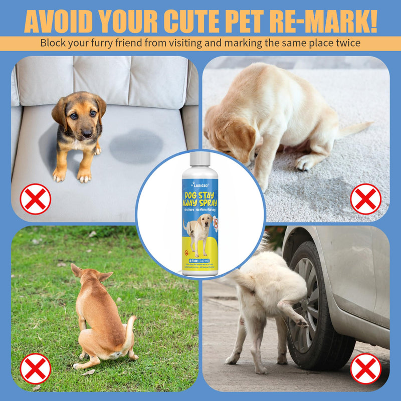 8 Oz Solution to Keep Dogs from Marking Indoors, Behavior Support Spray to Stop Dogs from Marking Their Territory, Gentle and Effective Pet Behavior Aid 8.0 Fl Oz