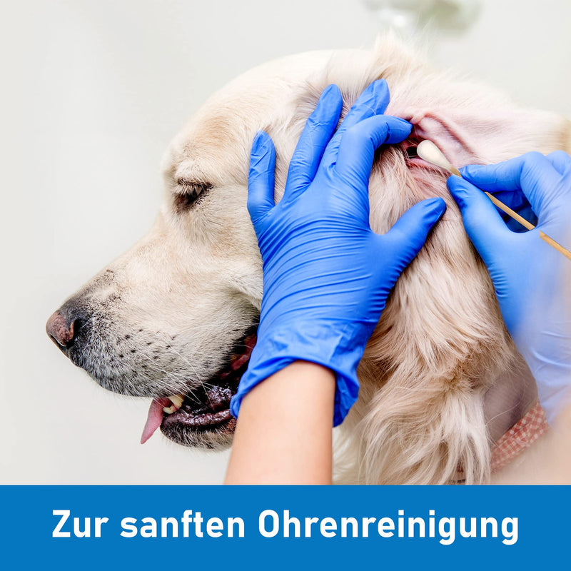 Kosmetex 100x ear cleaning for dogs, 15 cm, wide 1 cm thick cotton head, cotton buds long large head, ear cleaner ear cleaning sticks for pets, dogs, cats L - 15 cm - BeesActive Australia