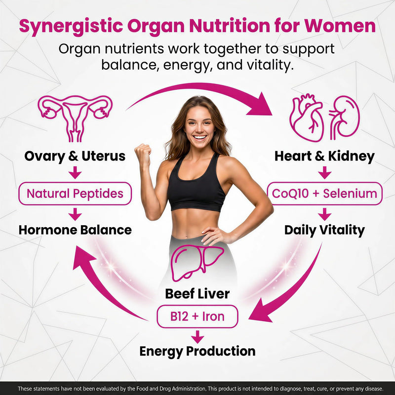 5-in-1 Beef Organ Supplement for Women, 1000mg, 90 Capsules | Grass-Fed Beef Liver Capsules with Ovary, Uterus, Kidney & Heart, New Zealand Beef Organs, Female Wellness & Energy Support