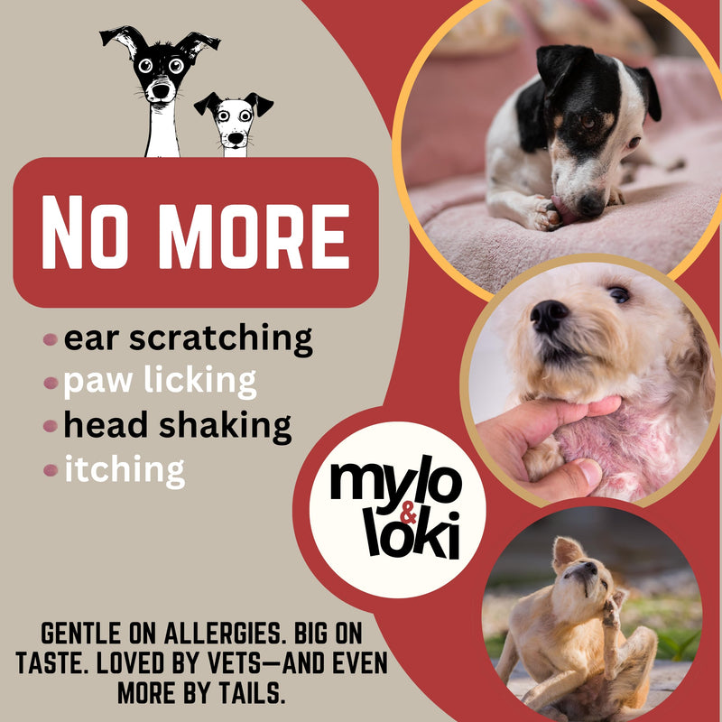 Mylo&Loki- Allergy & Itching Relief Chews for Dogs – Chicken Flavor, 120 Soft Chews – Supports Seasonal Allergy Relief, Itchy Skin, Coat Health, Digestive & Immune Support.