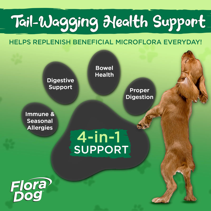 Vital Planet - Flora Dog Probiotic Chewable Tablets Supplement with 20 Billion Cultures and 10 Strains, High Potency Immune and Digestive Support Probiotics for Dogs, 30 Beef Flavored Chewable Tablets - PawsPlanet Australia