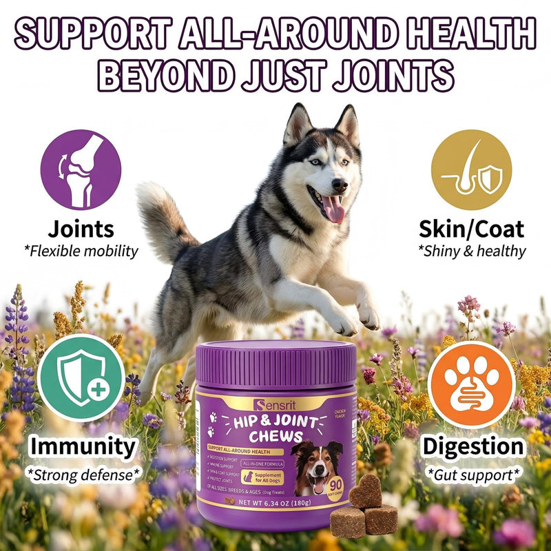Hip and Joint Chews for Dogs - All-in-One Mobility Support with Glucosamine, MSM, Chondroitin & Green Lipped Mussel - 90CT Chicken Flavor - Helps with Dog Stiffness, Limping & Recovery.